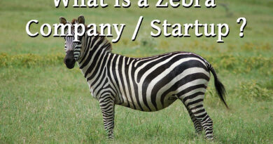 zebra company startup